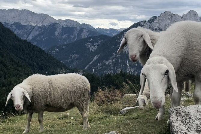 Full-Day Triglav National Park Tour From Ljubljana - Practical Tour Details