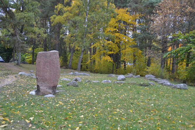 Full Day Viking Tour With Fika Swedish Coffee Break - Discovering Viking Settlement