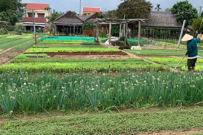 Full Experience Tour: Cooking Class & Basket Boat at Eco-Village - Whats Included