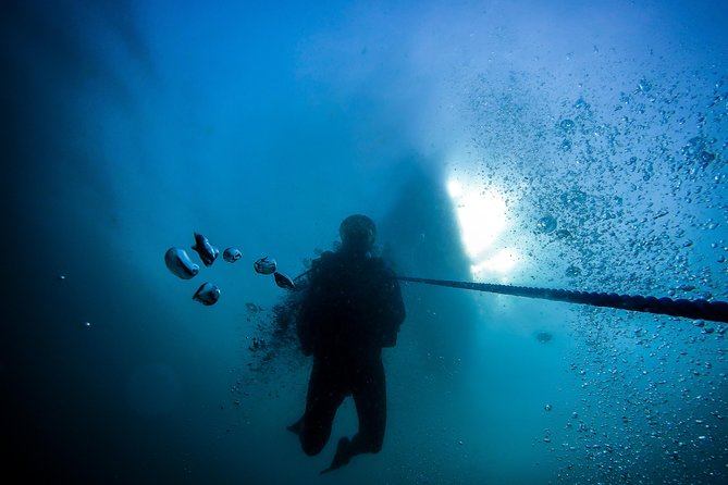 Fun Dives For Certified Divers - Included Equipment and Amenities