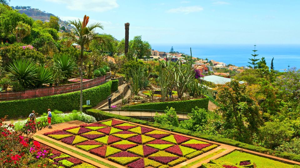 Funchal: Madeira Botanical Garden Private Tuk-Tuk Tour - Explore the Botanical Gardens