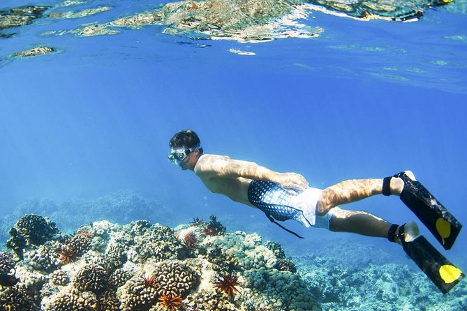 Gates of Heaven at Lempuyang Temple With Blue Lagoon Snorkeling - Exploring Coral Reefs