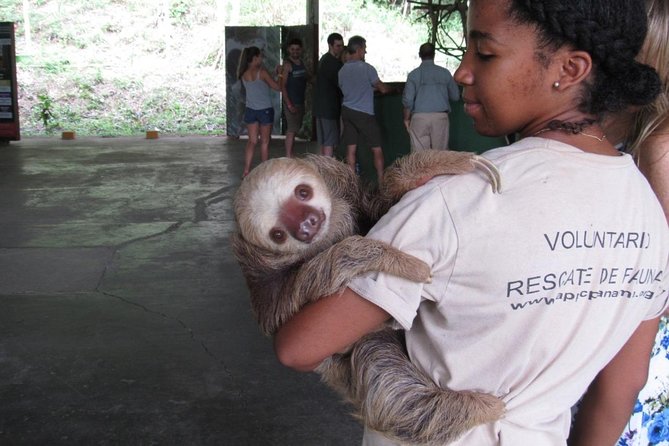 Gatun Lake & Panama Canal Wildlife Boat Tour and Sloth Sanctuary - Tour Itinerary