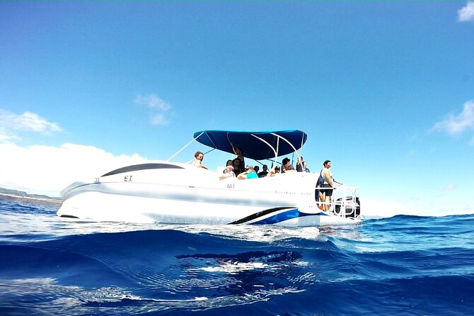 Glass Bottom Boat Tour & Snorkeling in São Miguel, Azores - Accessibility Information