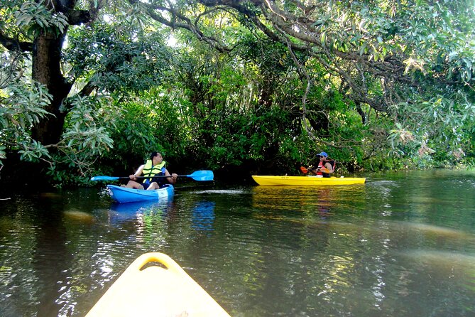 Goa Kayaking Spikes Salonia Backwaters Kayaking Experience - Cancellation and Payment Options