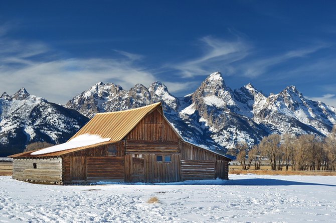 Grand Teton Wildlife Safari in a Enclosed or Open-Air Vehicle (Season Dependent) - Meeting and Pickup Information