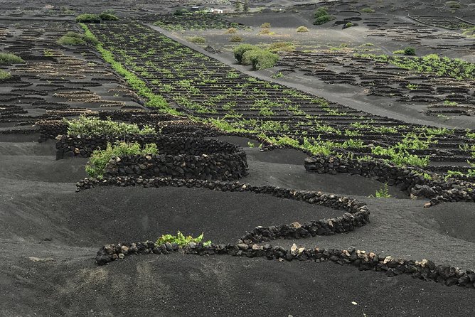 Grand Tour Lanzarote Experience: the Footprint of the Landscape - Lago Verde and Los Hervideros Cliffs