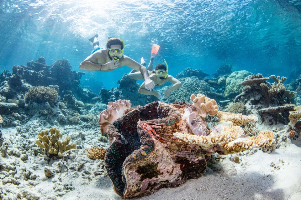 Great Barrier Reef Snorkel & Dive Full-Day Adventure - Inclusions Package