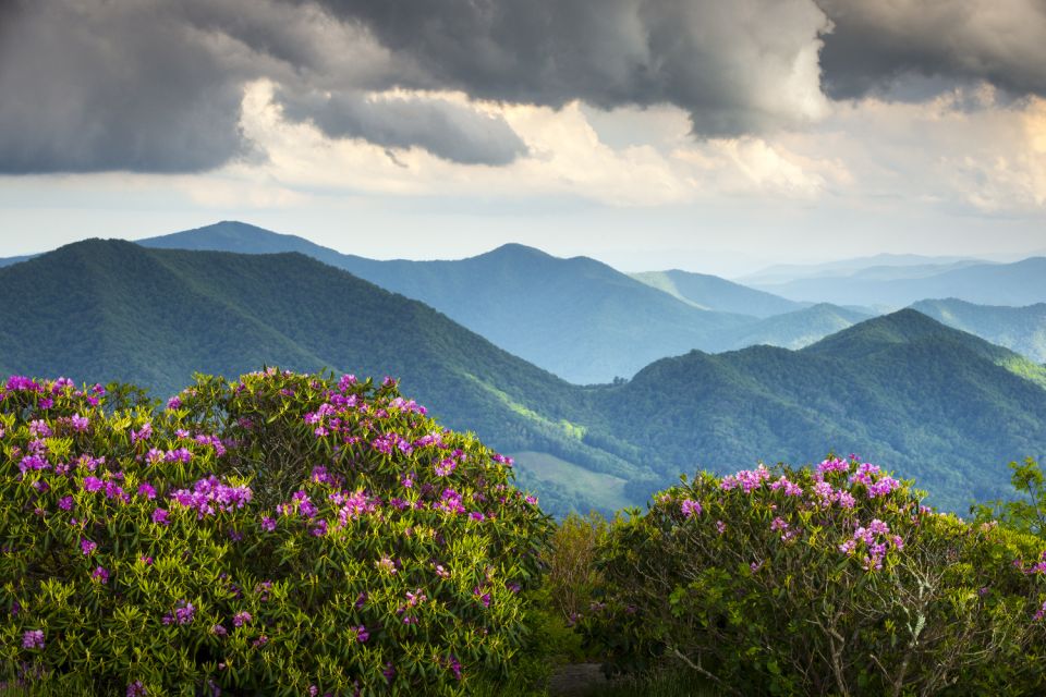 Great Smoky Mountains National Park Self-Guided Driving Tour - Tour Itinerary