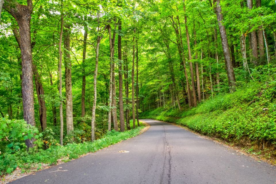 Great Smoky Mountains NP & Cades Cove Self-Guided Tour - Inclusions and Features