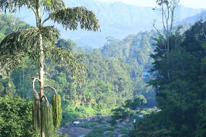 Green Magic Day Tour to Munnar - Inclusions and Amenities