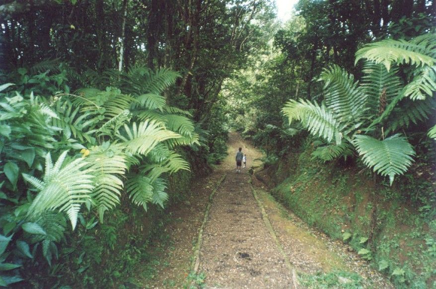 Grenada: Full-Day Tour With Chocolate and Rum Sampling - Key Highlights