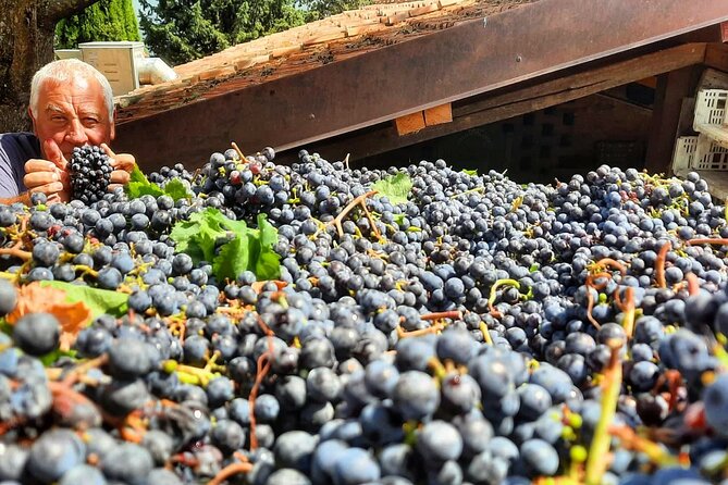 Greve in Chianti Wine Tasting and Winery Tour - Tour Inclusions Breakdown