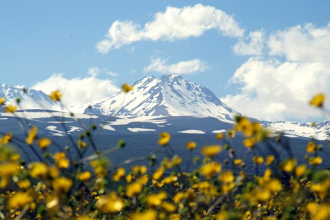 Group Tour: Amberd, Aragats, Lake Kari, Saghmosavank, Alphabet - Amberd Fortress