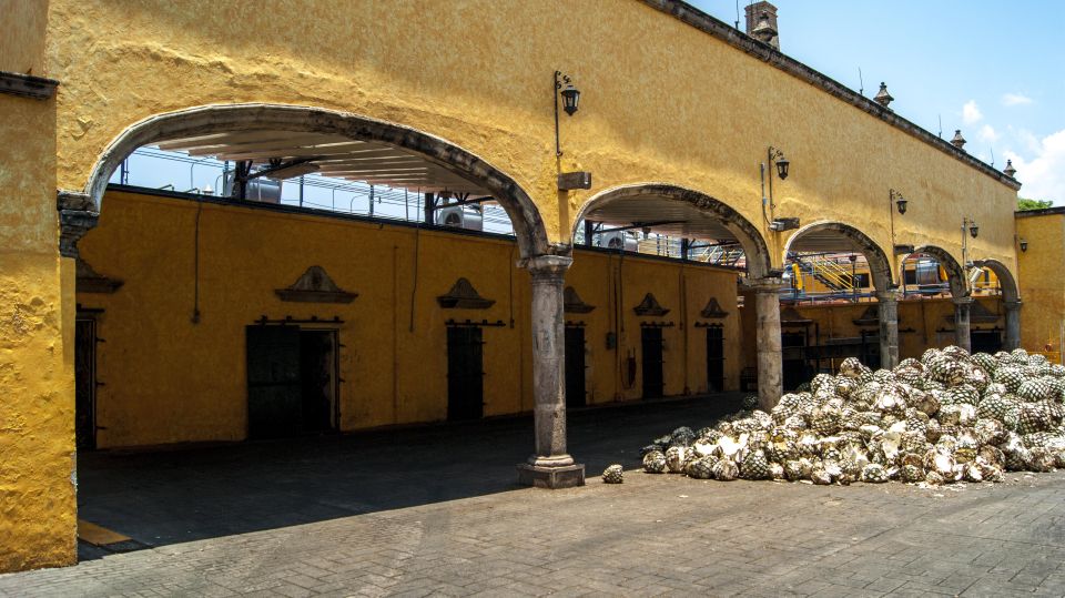 Guadalajara: Tequila Day Trip With Jose Cuervo Option - Exploring the Town of Tequila