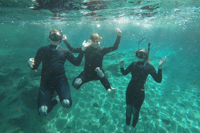 Guided Small Group Manatee Snorkeling Tour With In-Water Photographer - Meeting and Logistics