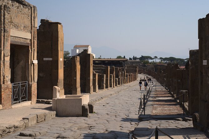 Guided Tour of Pompeii Ruins With Lunch and Wine Tasting - Guest Information