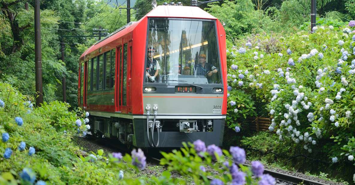 Hakone: Train Pass With Unlimited Rides & Activity Discounts - Discounted Sightseeing Opportunities