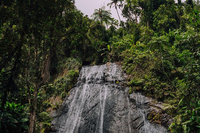 Half-Day El Yunque National Forest Tour From San Juan - Tour Logistics