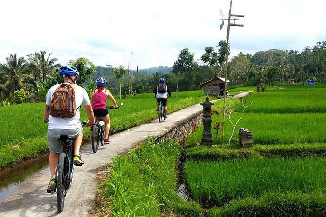 Half-Day Electric Cycling Tour of Ubud - Transportation