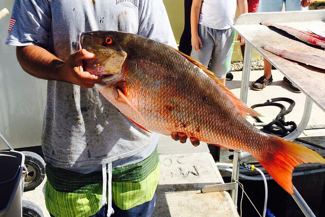 Half-Day Fishing Trip in Fort Lauderdale - Additional Info