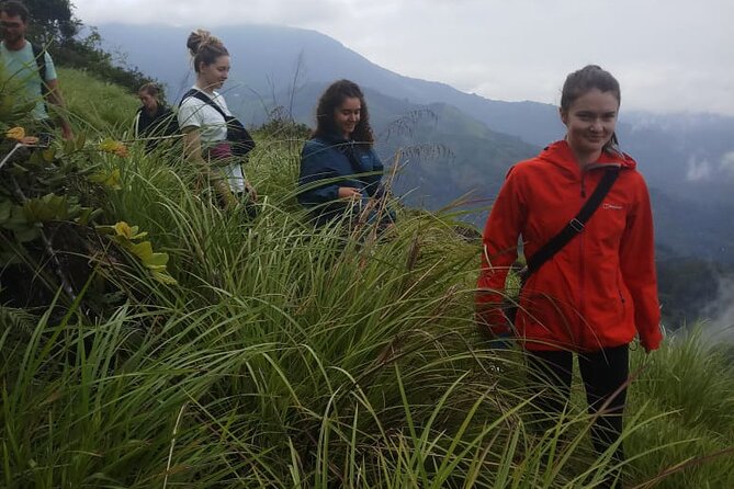 Half Day Hiking in Munnar Trekking Tour - Tour Duration and Itinerary
