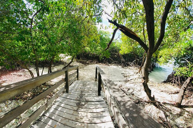 Half-Day Jeep Tour in Aruba - Safety and Accessibility