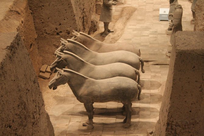 Half-Day Mini Group Xian Tour to Terracotta Warriors Museum - Accessibility Information