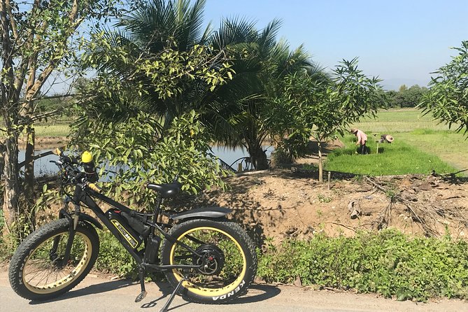 Half-Day Ping River and Rice Paddies E-Bike Adventure (Flat Land, Guided) - Cancellation and Refund Policy