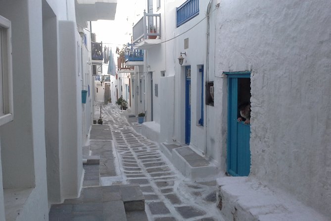 Half-Day Private Guided Tour in Mykonos - Cancellation Policy