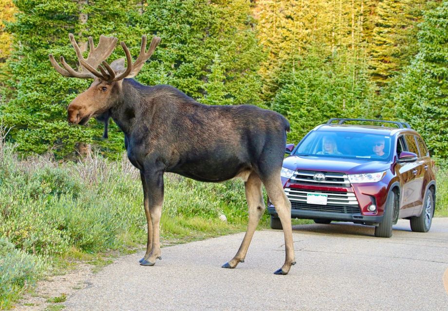 Half-Day RMNP Lakes and Meadows Tour-RMNPhotographer - Inclusions