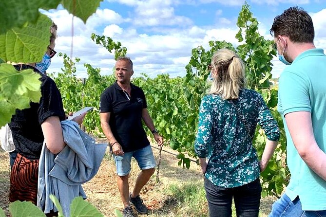 Half Day Safari Tour With Wine Tasting - Wine Tasting Details