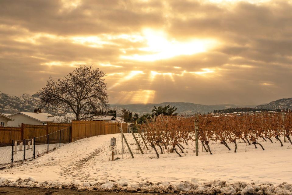 Half-Day West Kelowna Wine Tour - Highlights