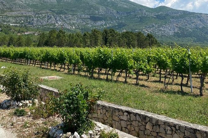 Half-Day Wine and Food Tasting From Dubrovnik - Konavle Plata: Local Delicacies