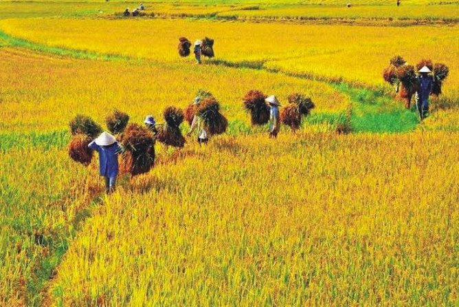 Hanoi Vespa Countryside Tour With Female Ao Dai Riders Half Day - Visit Co Loa Citadel