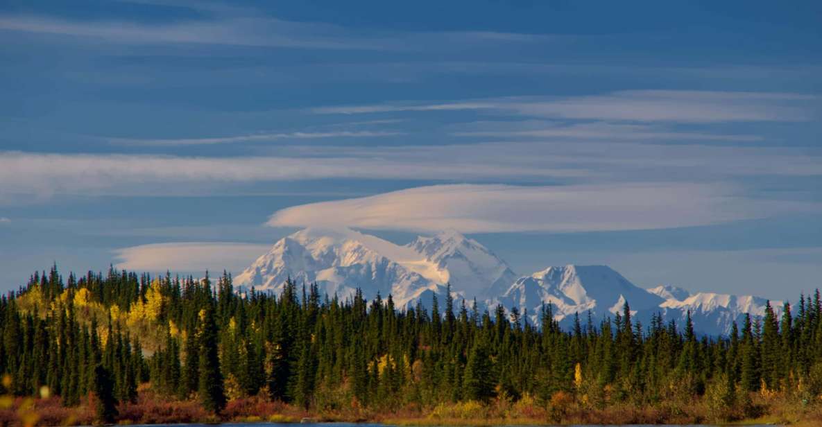 Healy: Denali National Park Self-Guided Jeep Adventure - Language and Features