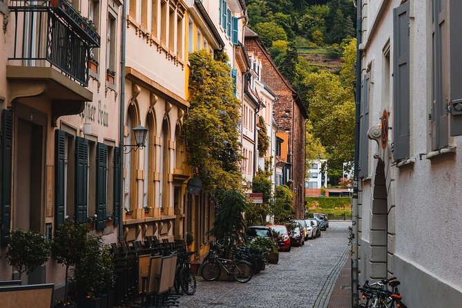 Heidelberg Castle and City Day Tour From Frankfurt - Guided Tour Experience