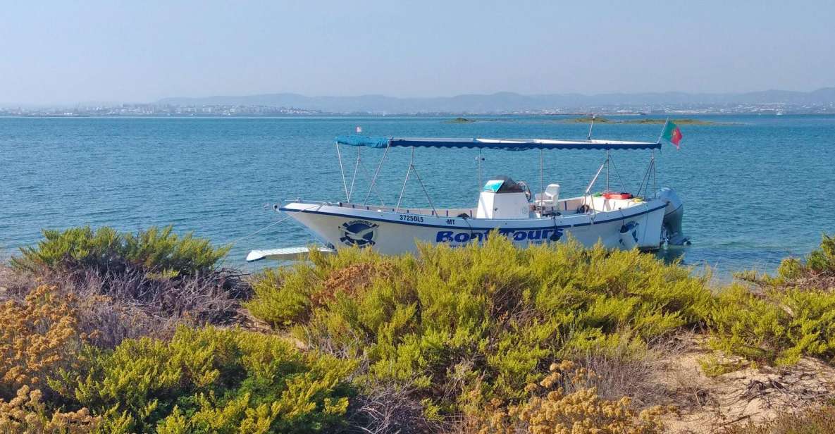 Hello: Private Boat Tour to Ria Formosa - Activities