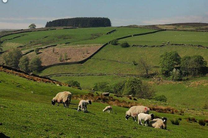 Herriot and Yorkshire Dales Day Trip From York - Exclusions