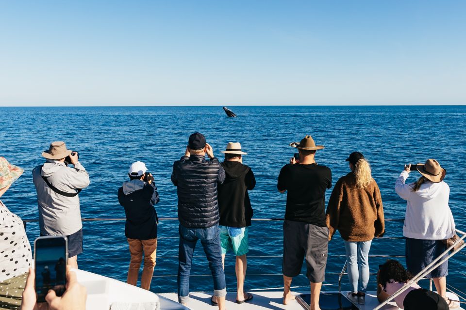 Hervey Bay: Exclusive Whale Watch Encounter - Inclusions