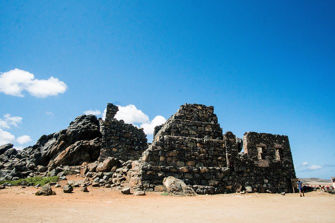 Highlights of Aruba Island Tour - Unique Experiences in Aruba