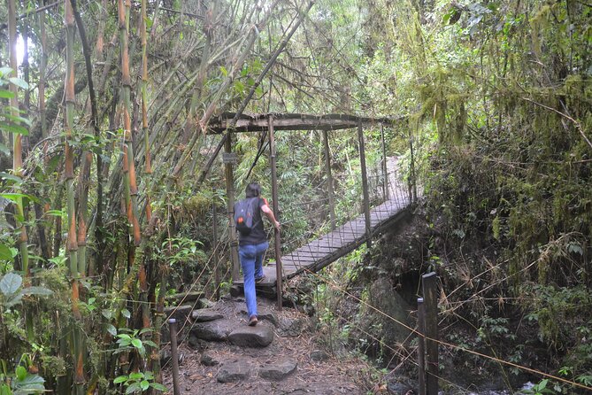 Hike La Chorrera and El Chiflón Mighty Waterfalls From Bogota - Recommended Gear