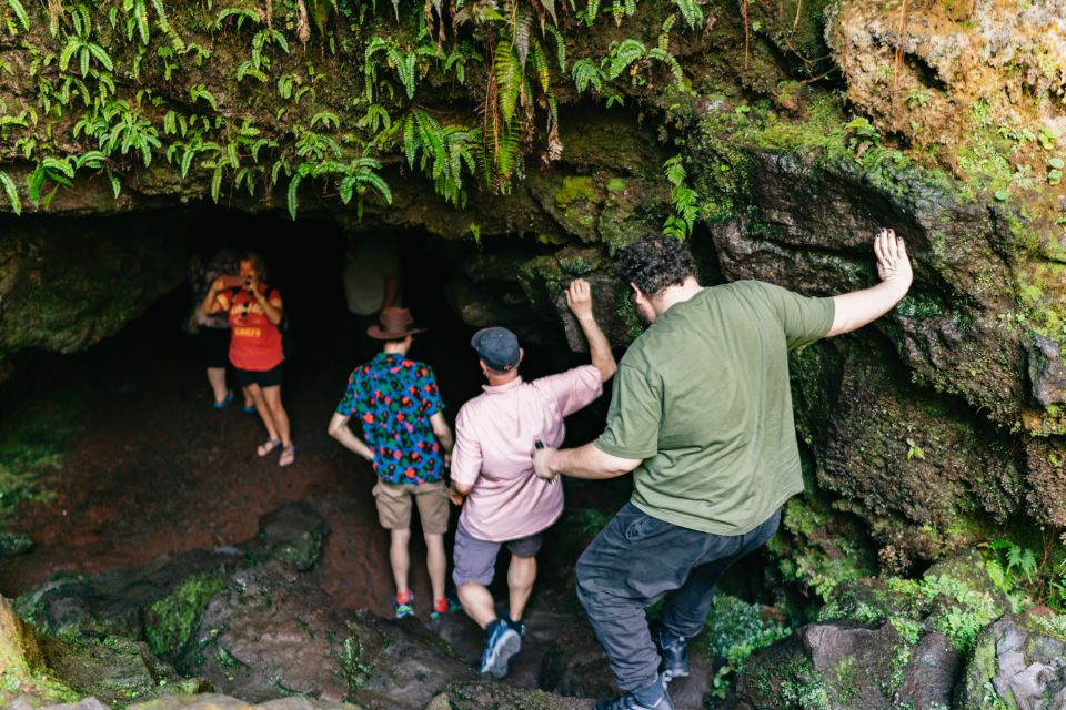 Hilo: Elite Volcano Hike - Isaac Hale Beach Park