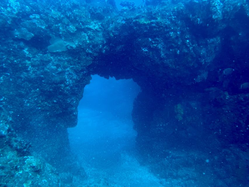 Hilo: Night Dive for Certified Divers - Included Amenities and Gear