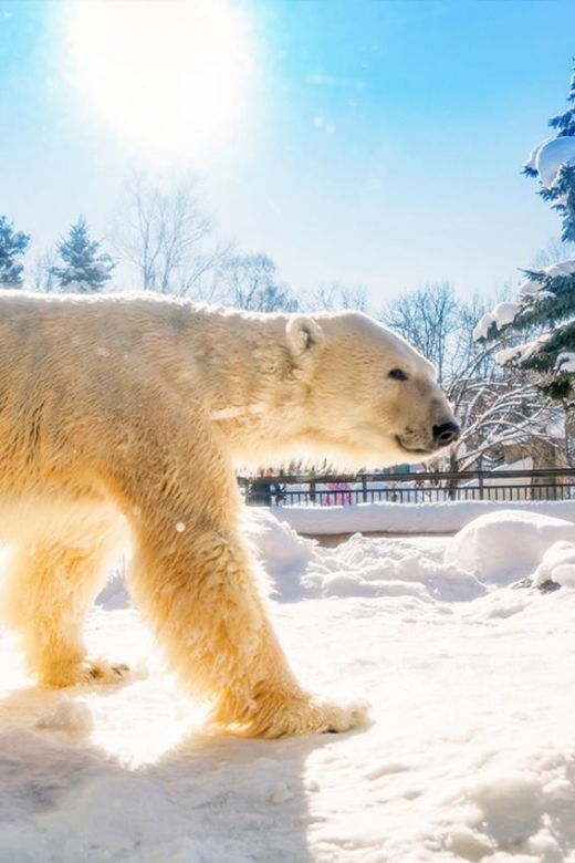 Hokkaido:Asahiyama Zoo, Shirahige Falls & Biei Pond Day Tour - Transportation Details