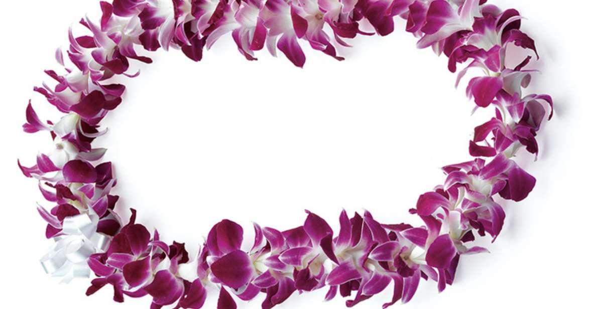 Honolulu: Airport Private Transfer With Arrival Lei Greeting - Pickup and Dropoff