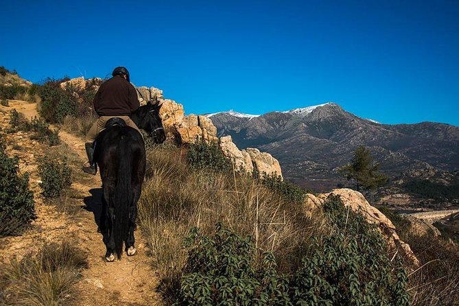 Horse Riding Madrid Natural Park - Meeting and Pickup Location