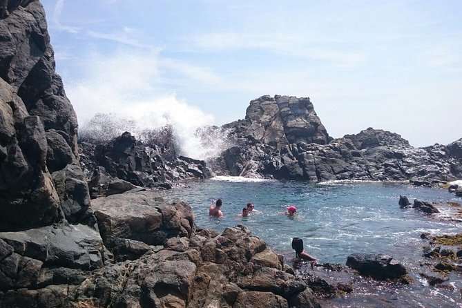 Horseback Ride Tour to Natural Pool in Arikok National Park - Restrictions and Requirements