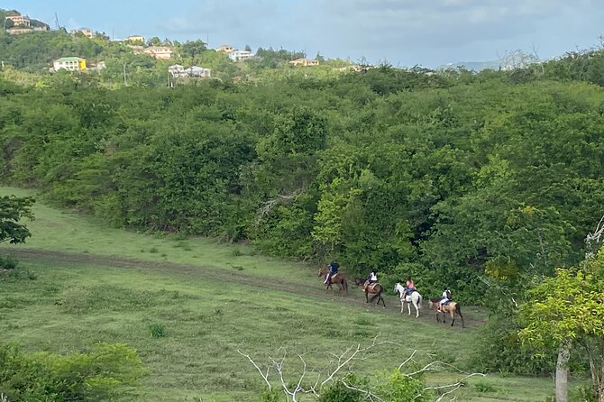 Horseback Riding Experience - Accessibility and Restrictions