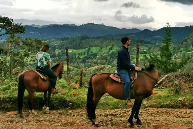 Horseback Riding in Medellin: Private Tour - Booking Process